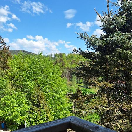 Haus Westharz Goslar Apartamento Bad Grund Exterior foto