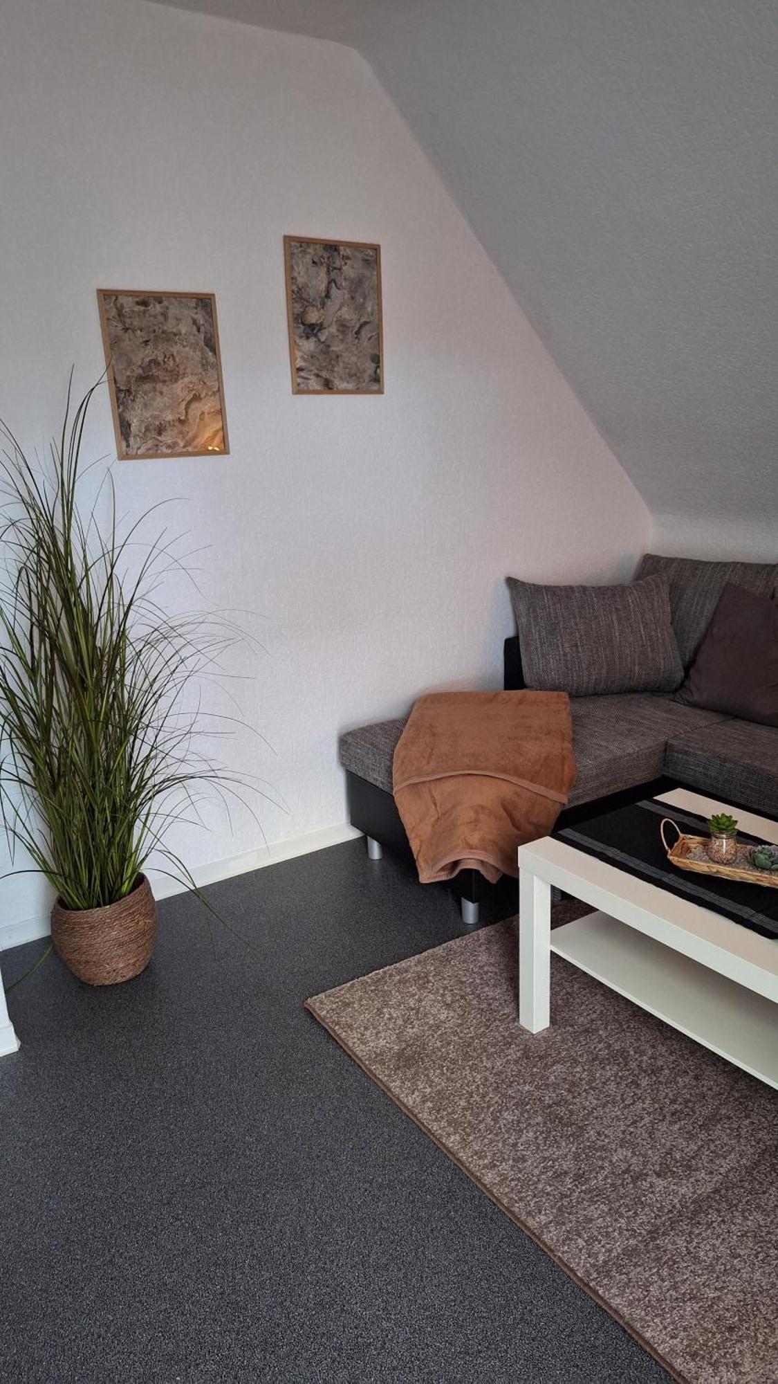Haus Westharz Goslar Apartamento Bad Grund Exterior foto