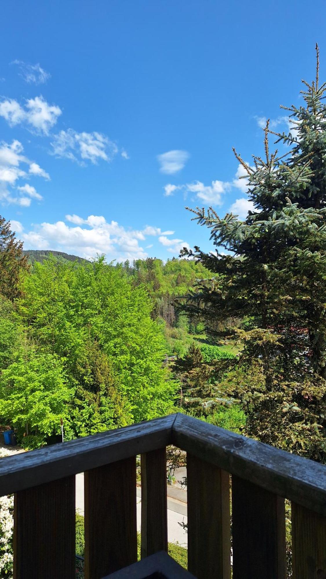 Haus Westharz Goslar Apartamento Bad Grund Exterior foto