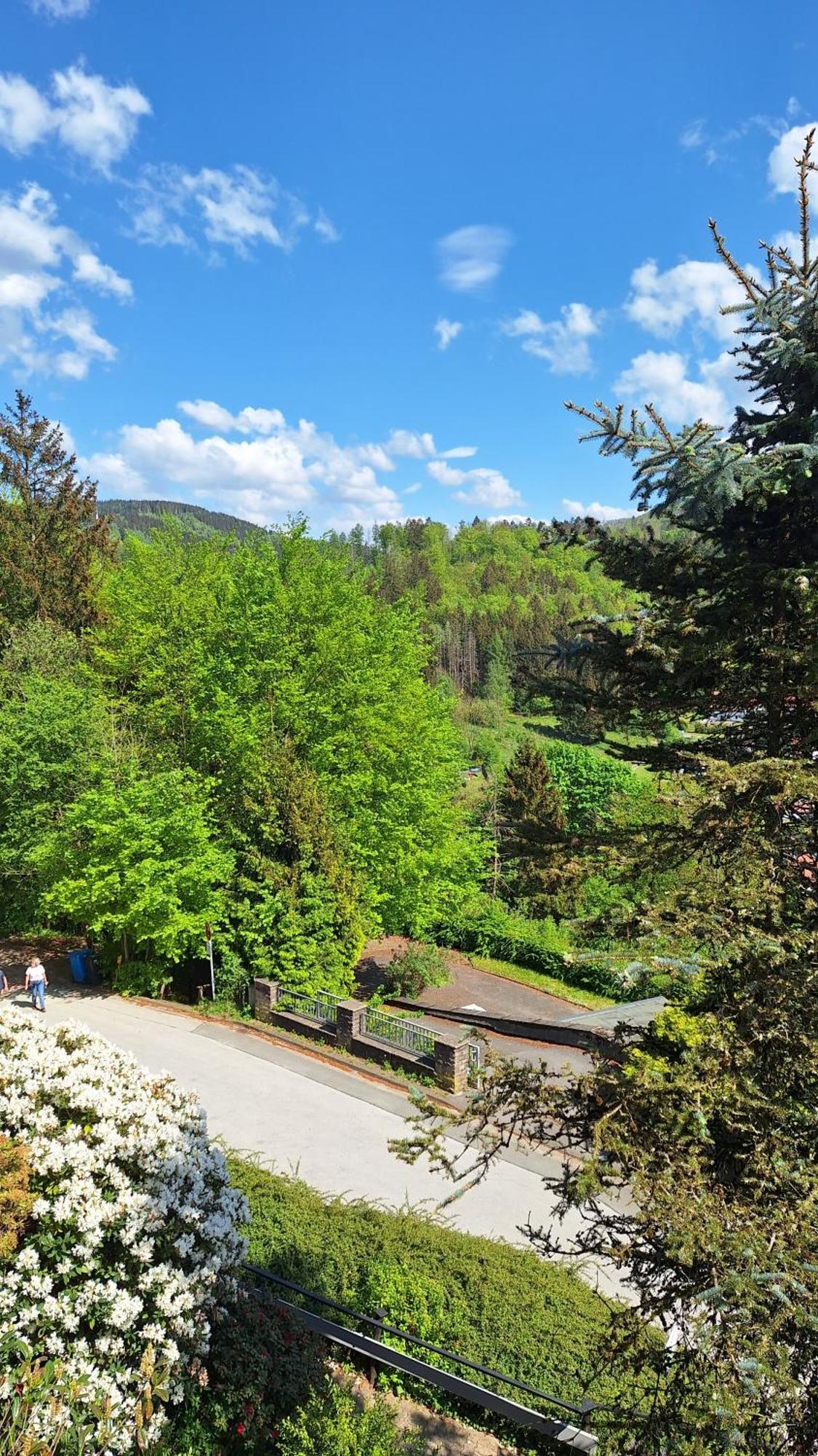 Haus Westharz Goslar Apartamento Bad Grund Exterior foto